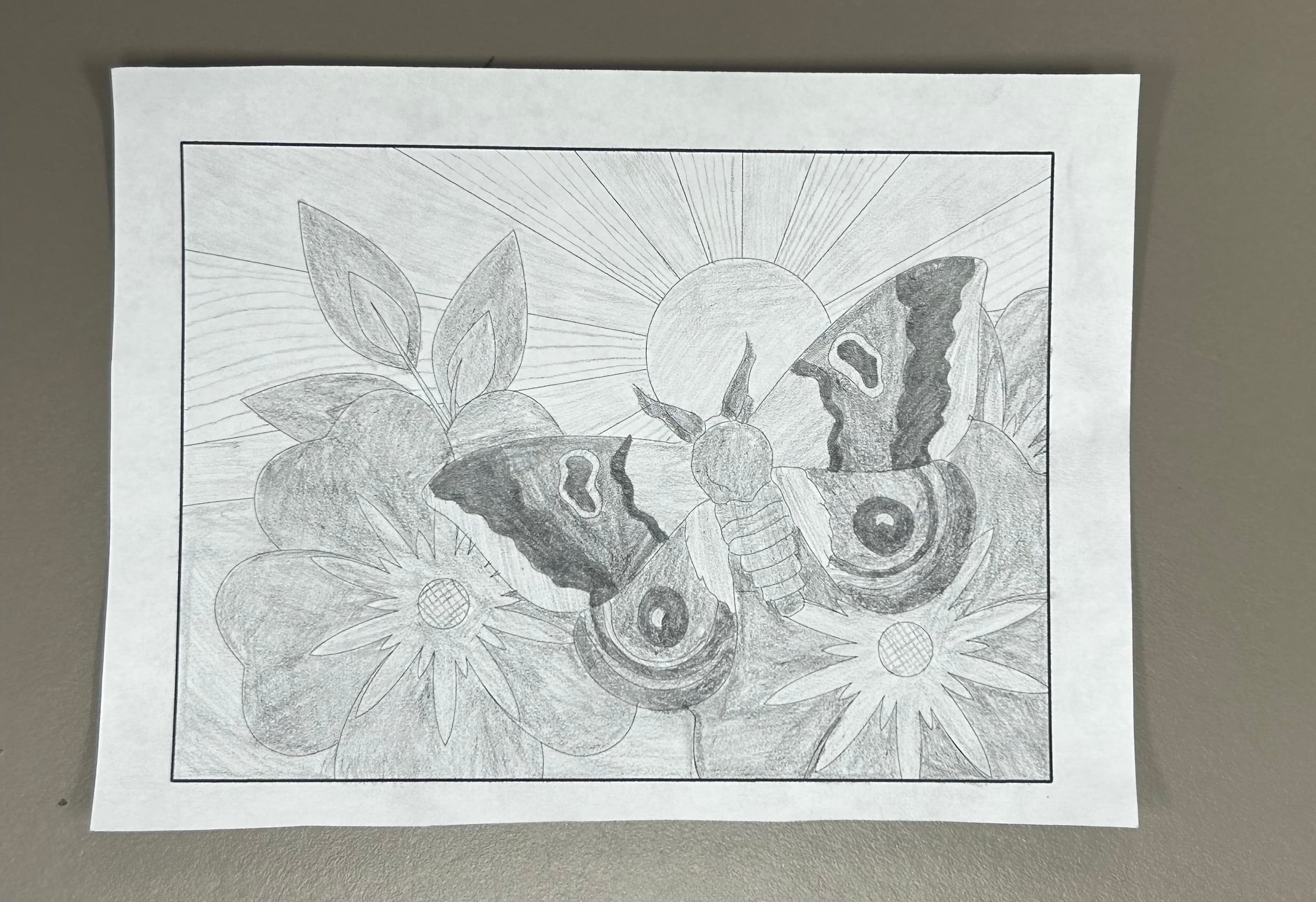 Cross Hatching Moth